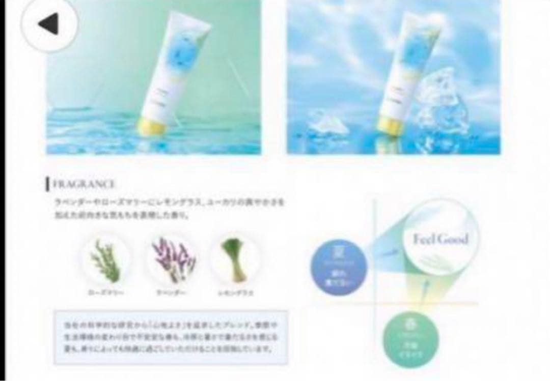 エステシモ　3本　マヌカ　乳酸菌　イッシュシャンプー　240ml 新品　限定品