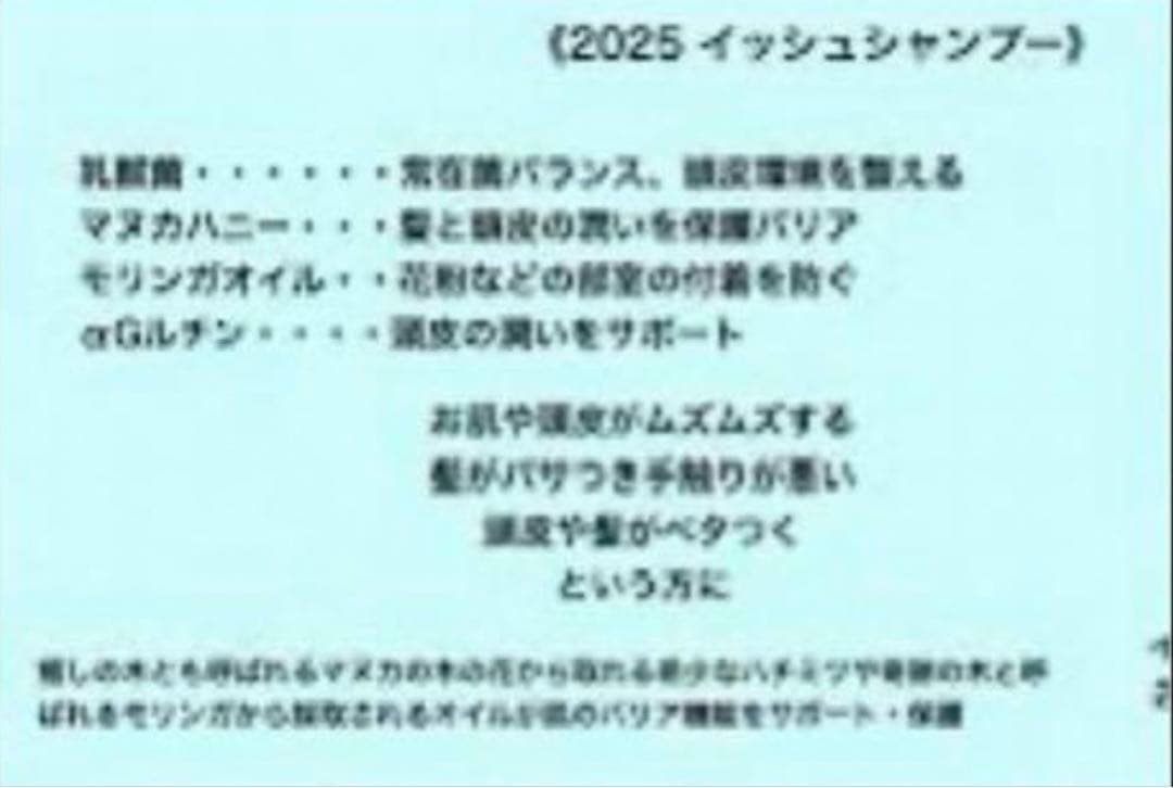 エステシモ　3本　マヌカ　乳酸菌　イッシュシャンプー　240ml 新品　限定品