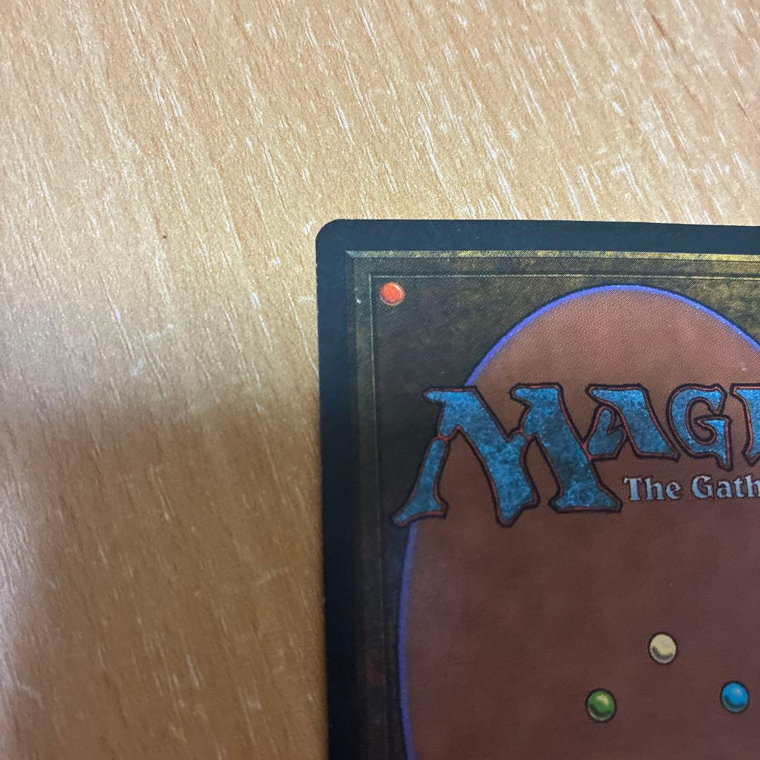 MTG Tropical  英語