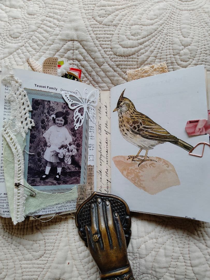 ジャンクジャーナル　Old days 9