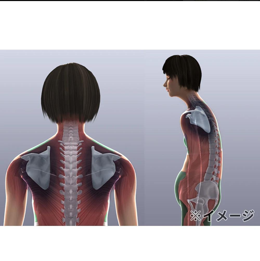 【新品】ウルトラディープストレッチセット　レッド　肩甲骨はがし　美顔