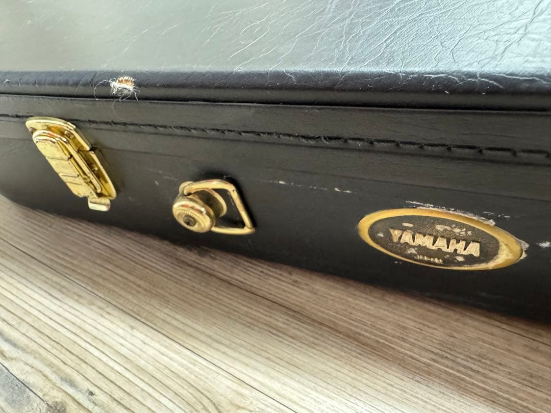 【レア】ヤマハ90年代ビンテージ12弦エレアコ APX-8-12A+ケース