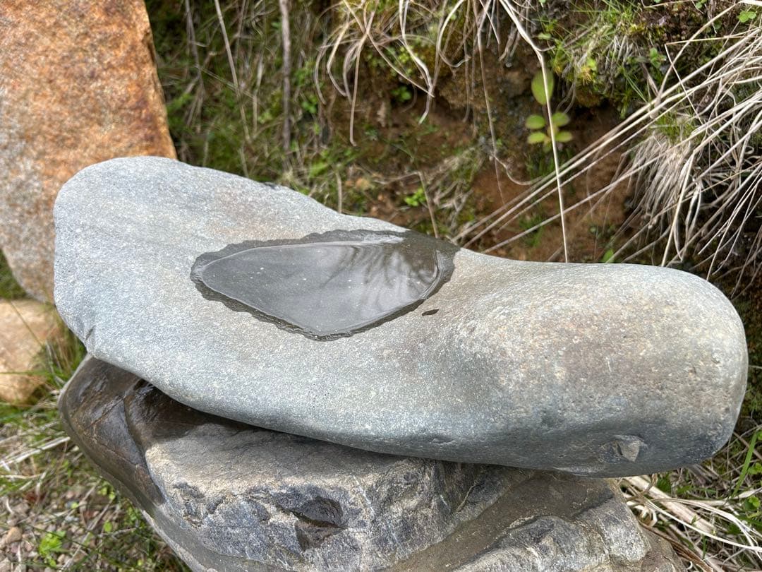 銘石 加茂川『真黒石』(溜まり石)