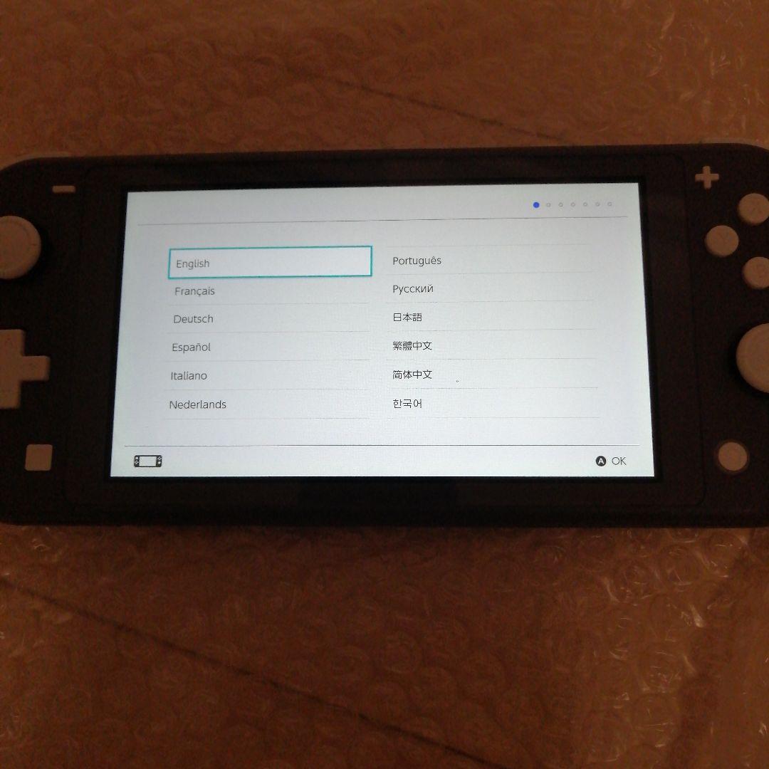 Nintendo Switch Lite グレー 本体 2021年製