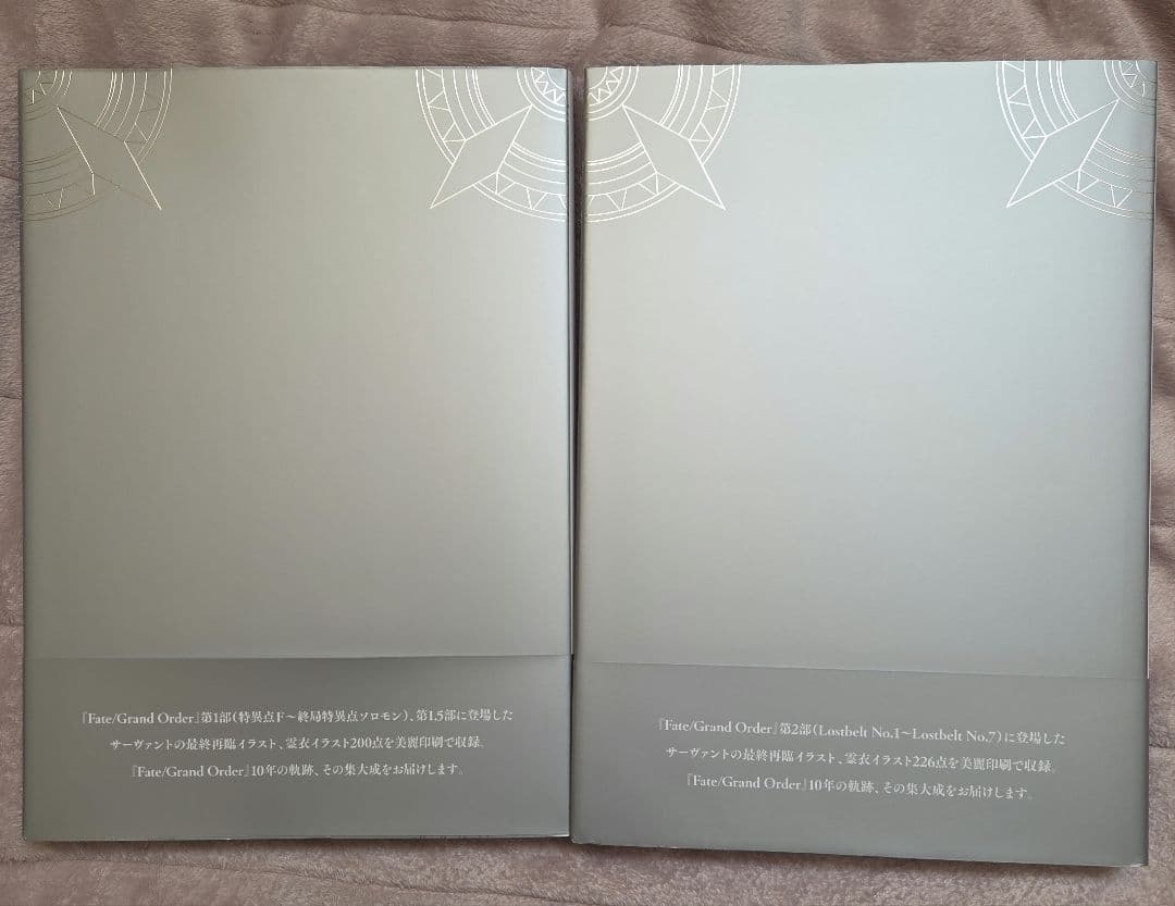 Fate/GrandOrder FGO 最終再臨画集 I Ⅱ
