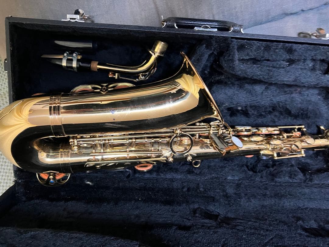 Max Toneアルトケースネックストラップリガチャーリード付Rapsag