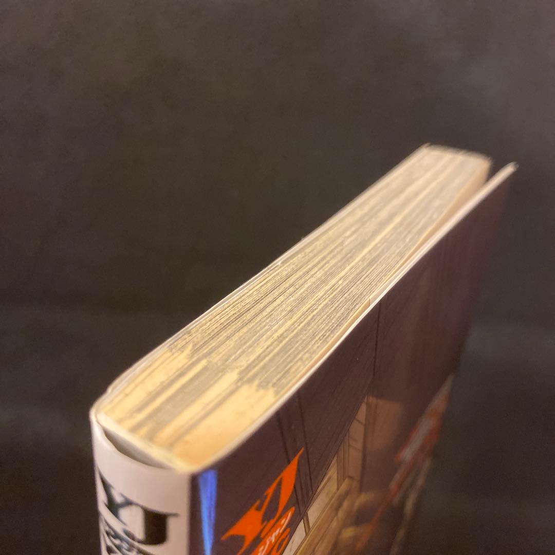 ゴールデンカムイ 23巻 アニメDVD同梱版 初版 野田サトル