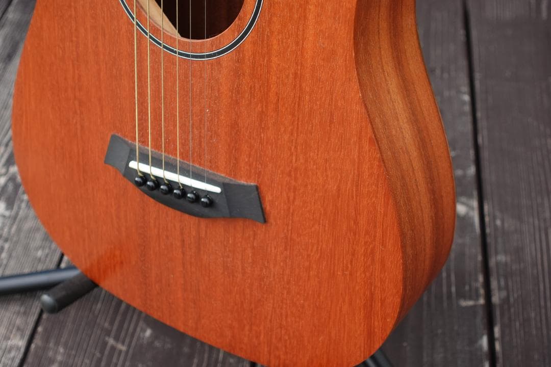 Baby Taylor Mahogany (BT2)とRITTERのギグバッグ