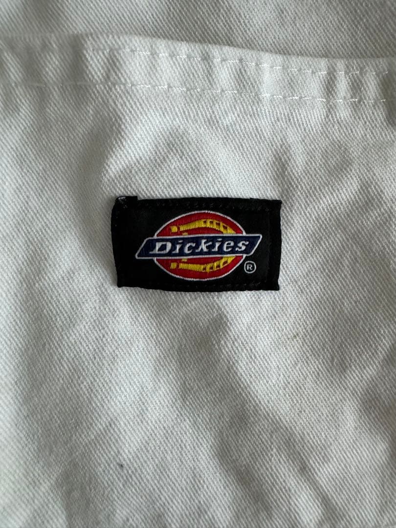 DICKIESディッキーズxシャーウィンウィリアムスペイント加工ペインターパンツ