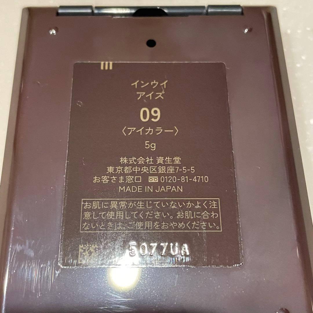 【限定色】INOUI 資生堂 インウイ　アイズ　09