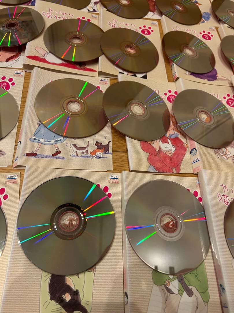 やっぱり猫が好き　全19巻　dvd