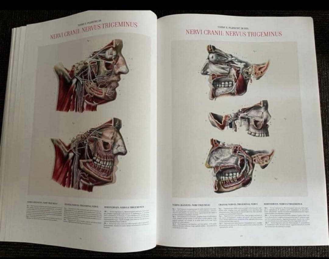 健康・医学 ATLAS OF HUMAN ANATOMY AND SURGERY
