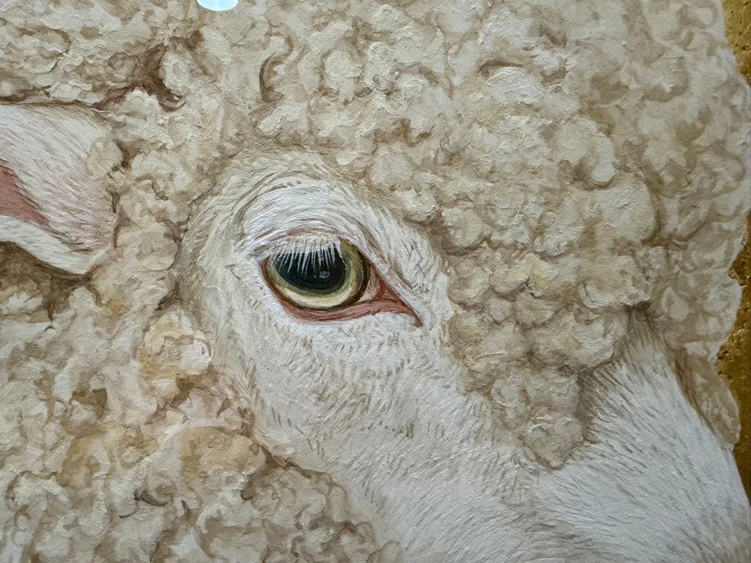 丸山友紀　eyes of sheep 共シール