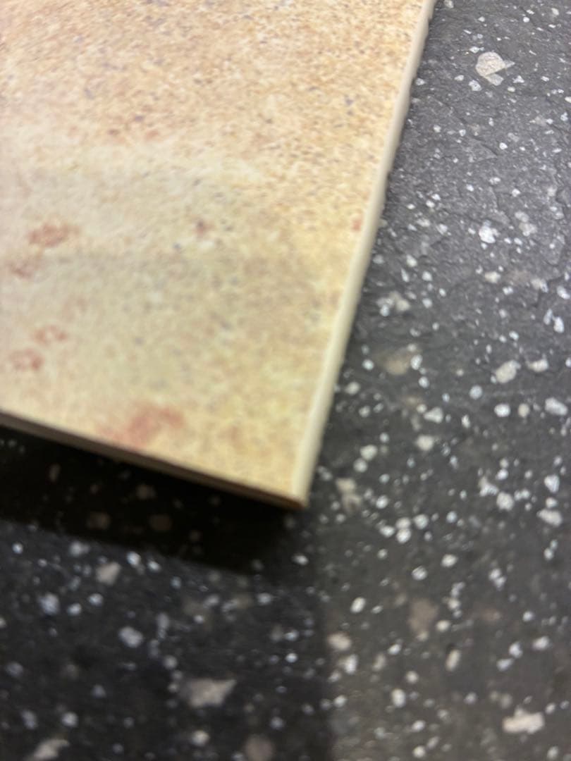 【週末限定値下げ】9mm parabellum bullet The World