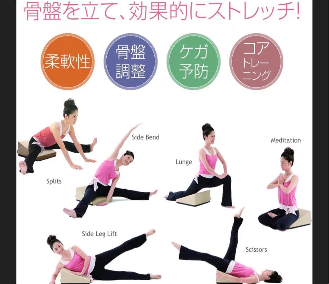 サンテプラス　フレックスクッション