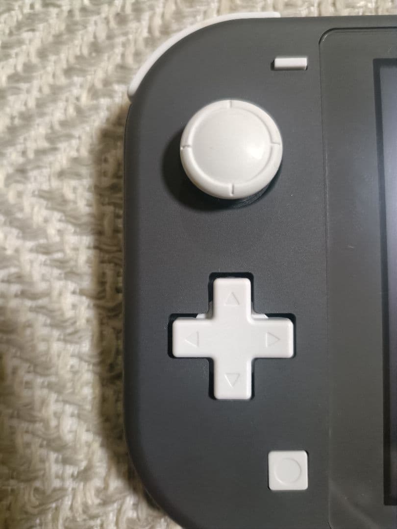 Nintendo Switch Lite グレー 本体 充電器・専用ケース付き