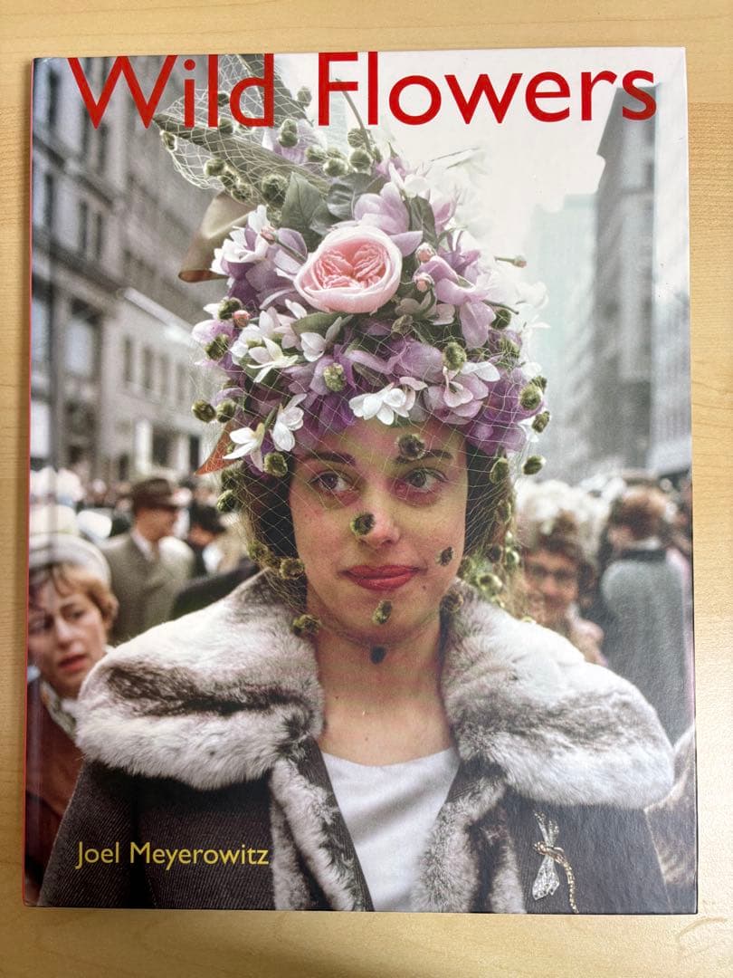 アート・デザイン・音楽 Joel Meyerowitz Wild Flowers