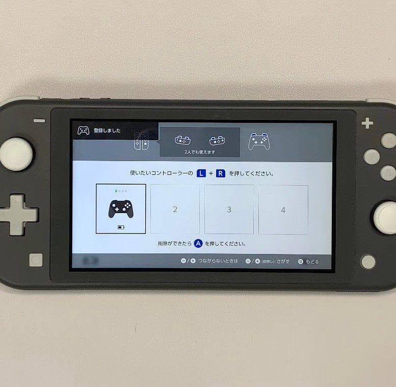 Nintendo Switch Lite 本体 動作品 グレー