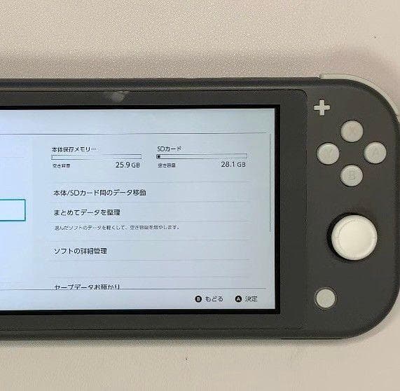 Nintendo Switch Lite 本体 動作品 グレー