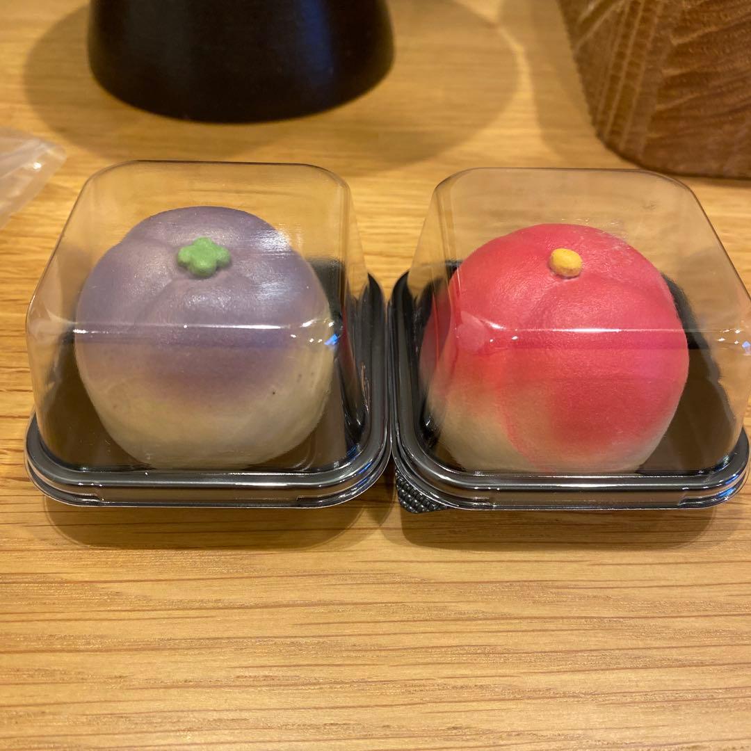 岡モータース 冬椿と花菱