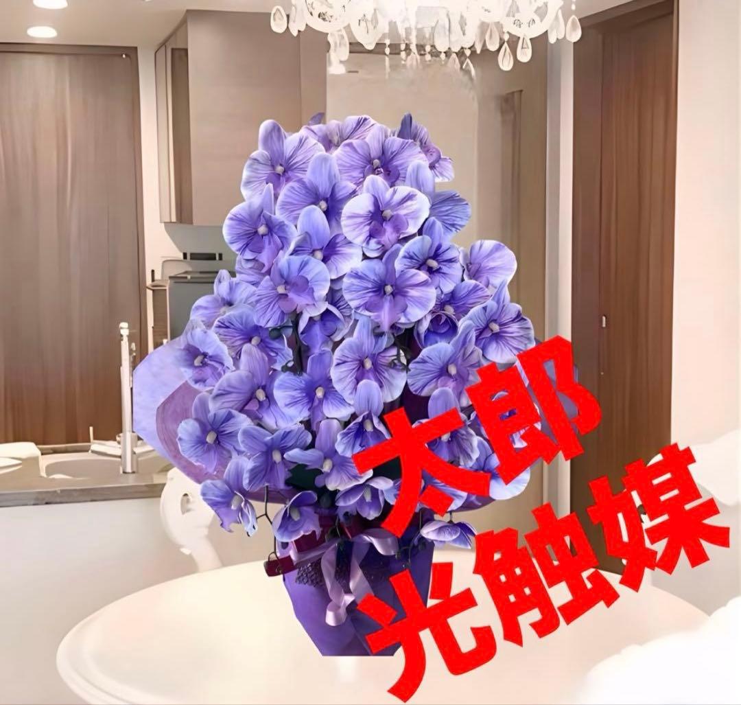 光触媒　人工観葉植物　ウォールグリーン　胡蝶蘭pu５本7645