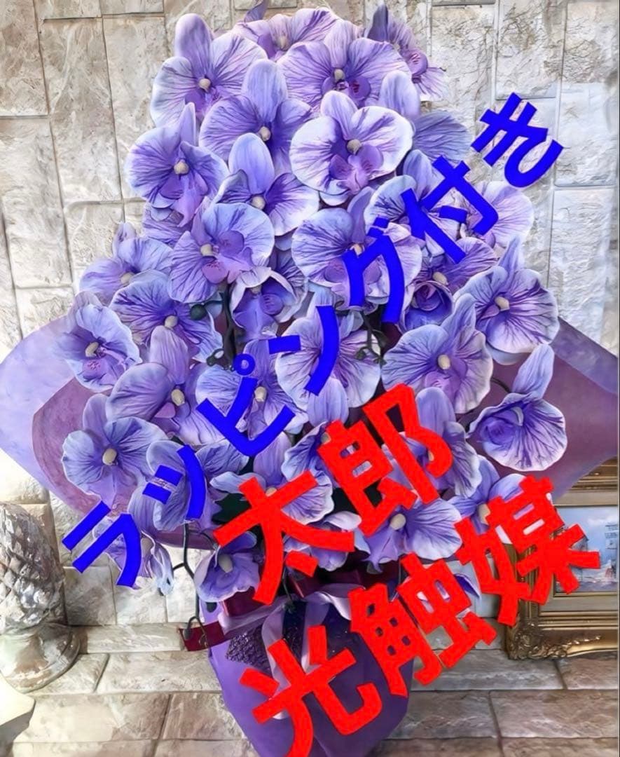 光触媒　人工観葉植物　ウォールグリーン　胡蝶蘭pu５本7645