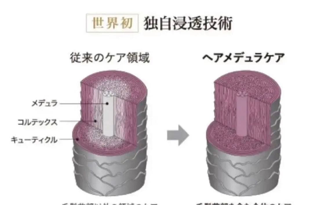 限定セルサート　フォーシンシャンプー＆コアスパマスク　各　1L特別セット