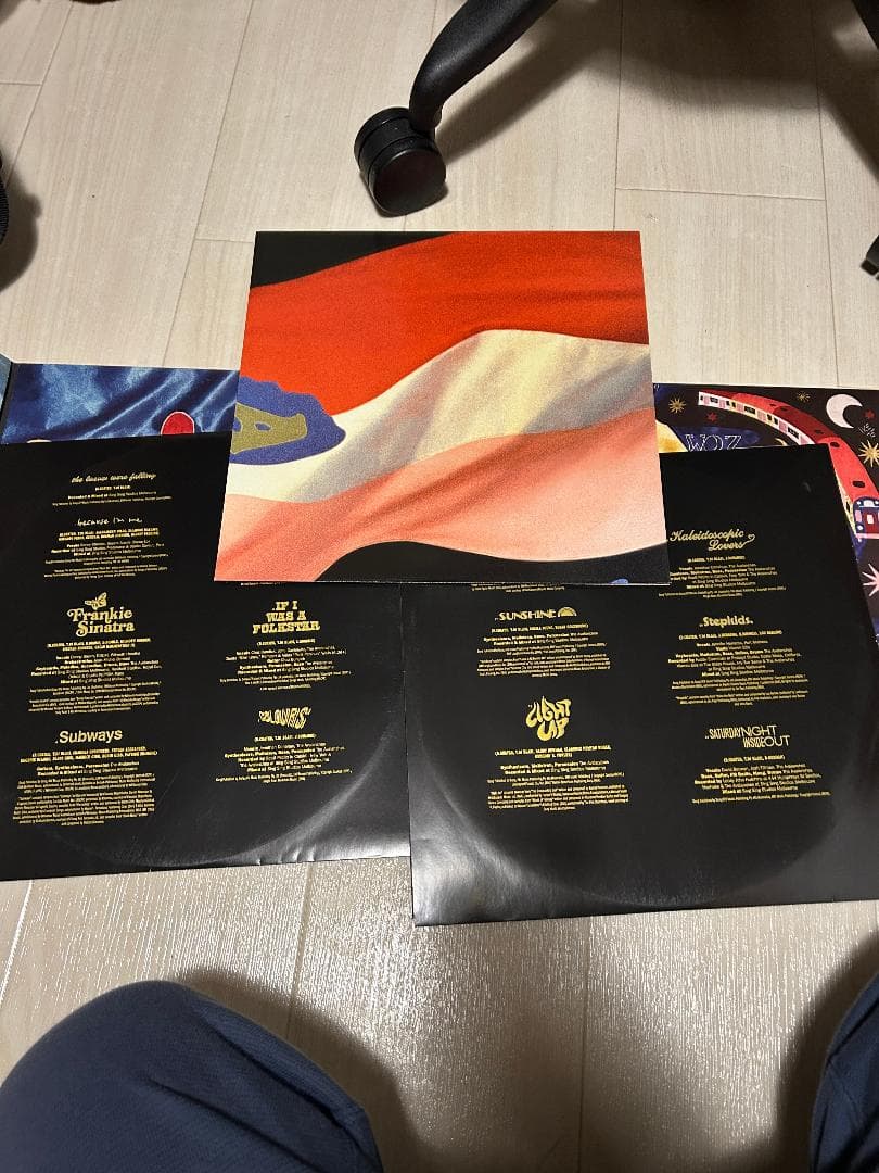 The Avalanches – Wildflower 2LP デラックス重量盤