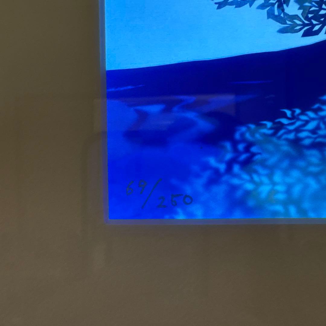 藤城清治　月光の響き