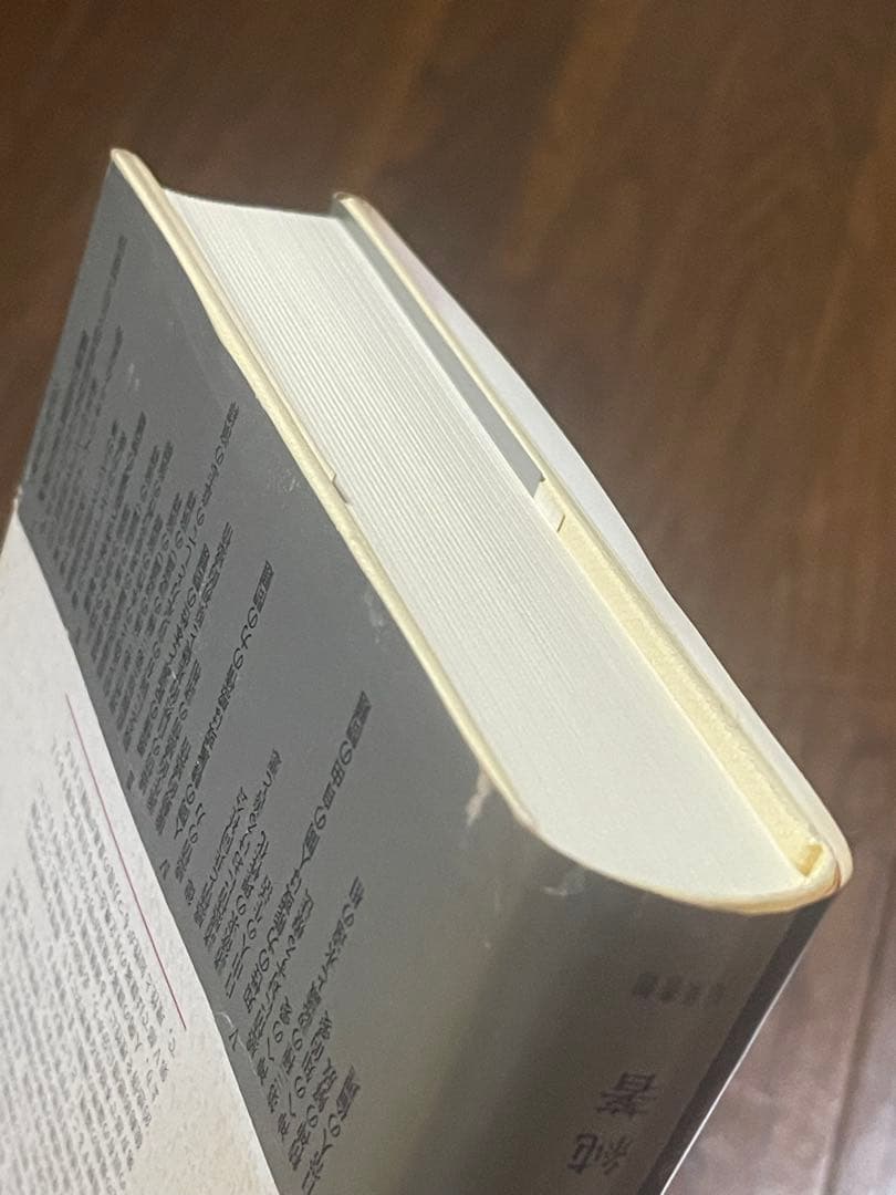 スピノザ『エチカ』の研究 : 『エチカ』読解入門⚠️カバー、帯に劣化有り