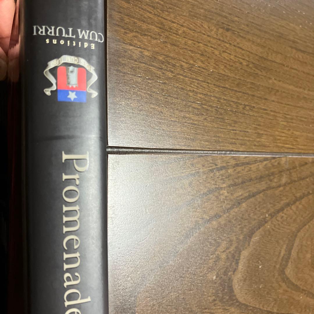 印籠　inro 洋書　大型本　貴重