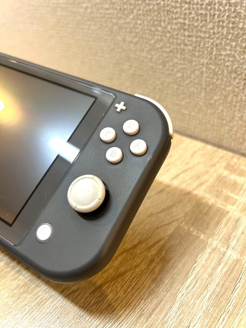スイッチライトグレー (充電器付)