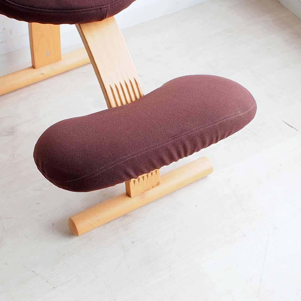 リボ/Rybo バランスイージー カバー付き バランスチェア ZR24150