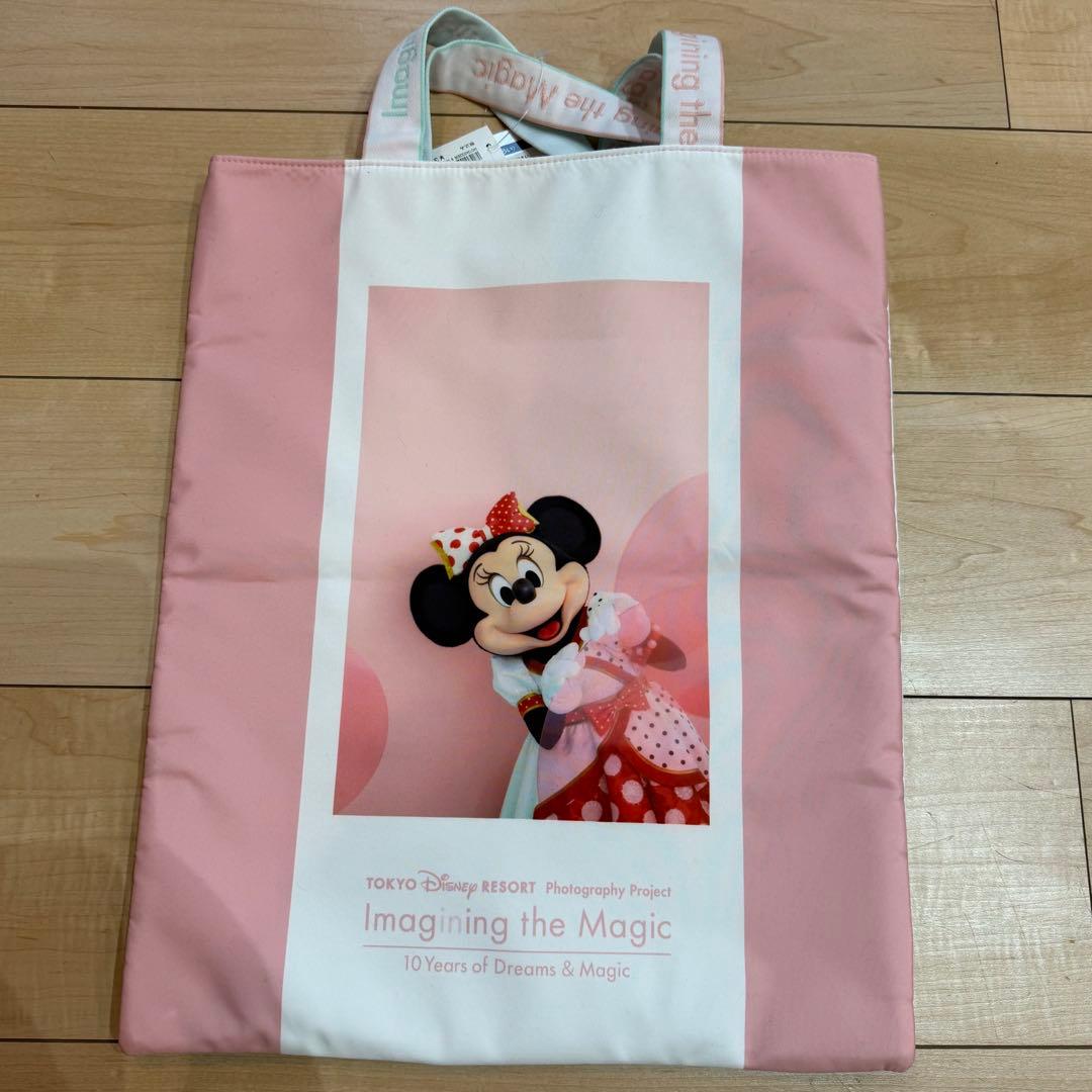 新品 ディズニー イマジニング バッグ