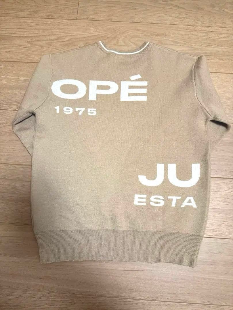 JUN &ROPE BIGロゴグラフィック長袖ニットプルオーバー