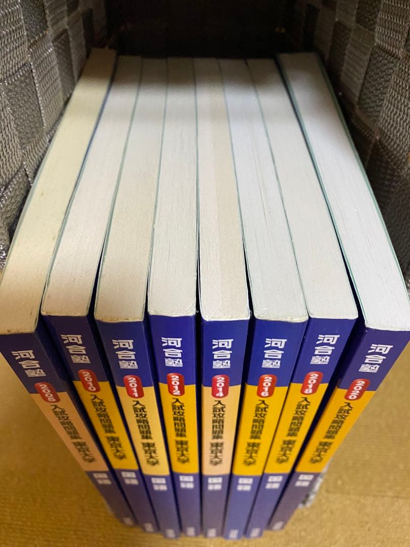 河合塾 入試攻略問題集東京大学国語