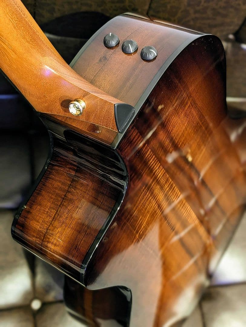 【最終価格】Taylor/224ce-K DLX エレアコ