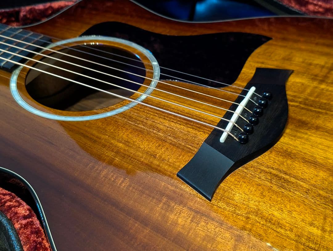 【最終価格】Taylor/224ce-K DLX エレアコ