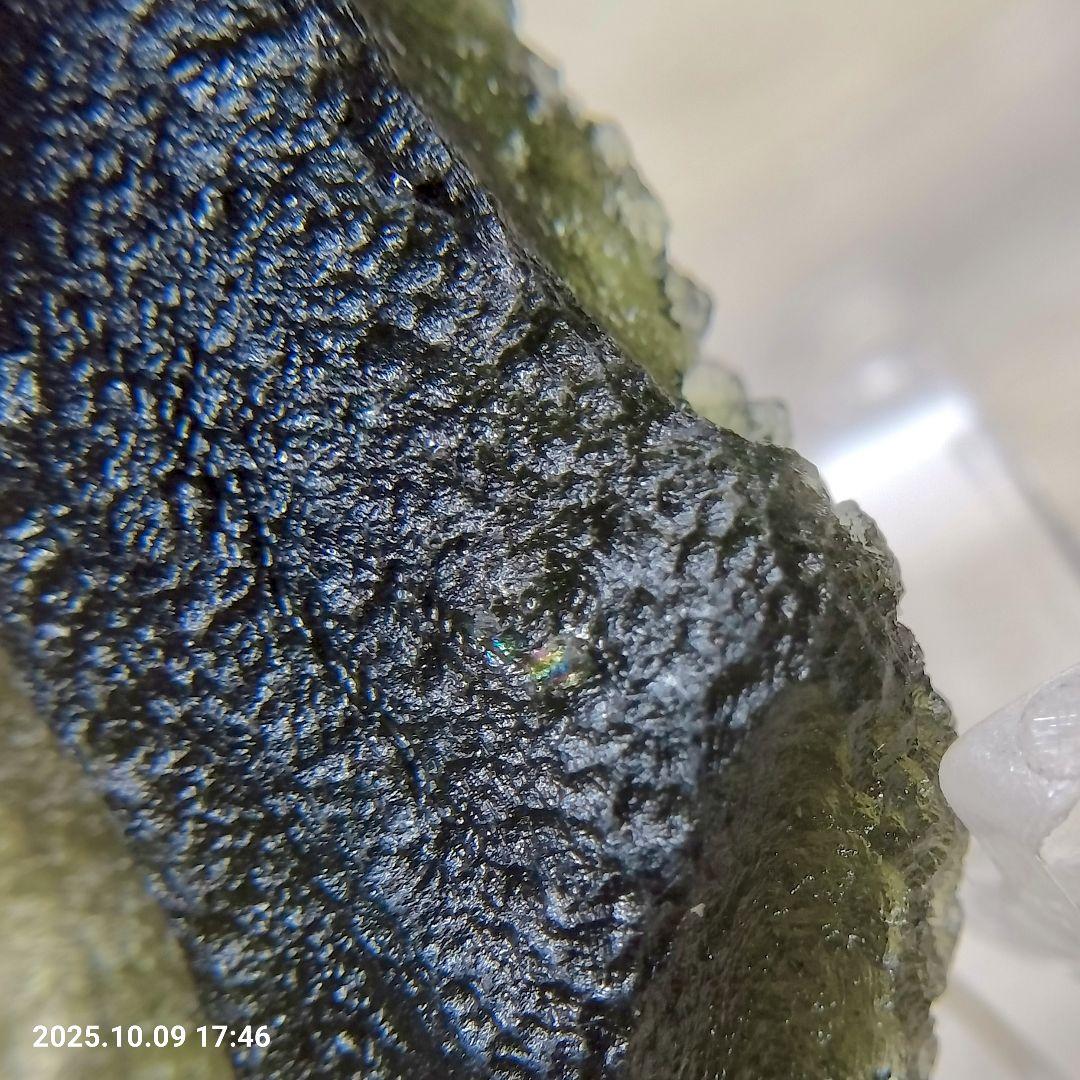 ぱぱおかか フォロー割引適用価格