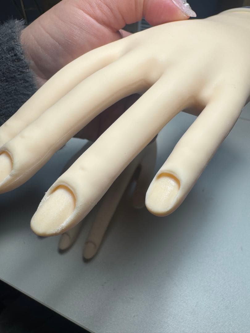 JNEC認定モデルハンド (骨折なし 箱付き)