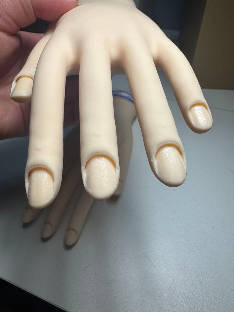 JNEC認定モデルハンド (骨折なし 箱付き)