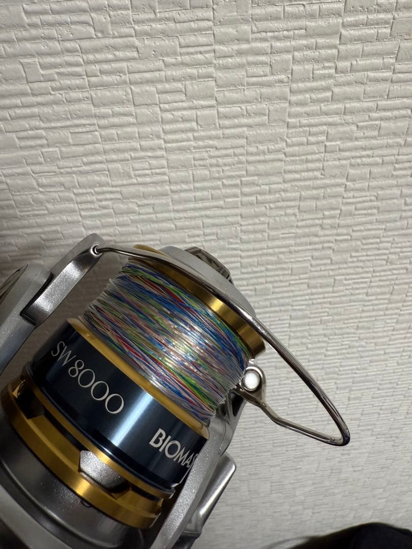 シマノ 13 バイオマスター SW 8000PG（PEライン付）