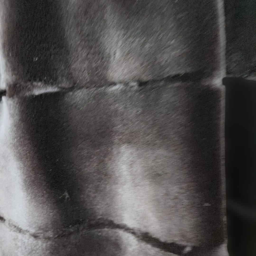 ⭕️コペンハーゲンミンクプラチナコート