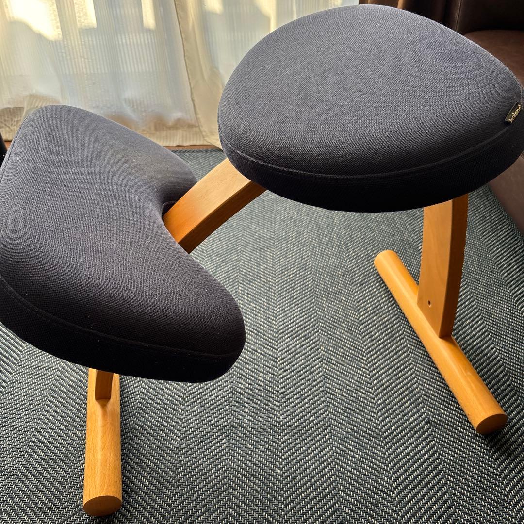 rybo社 リボ社 バランスチェア イージー