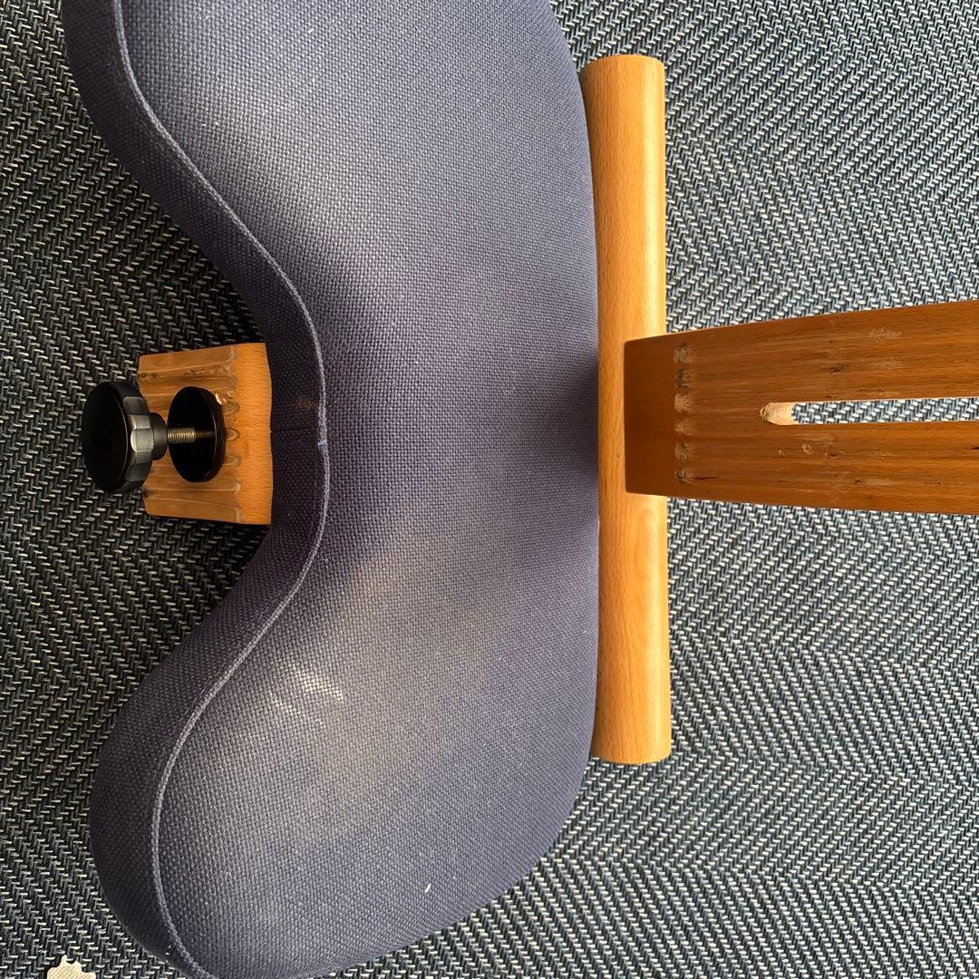 rybo社 リボ社 バランスチェア イージー