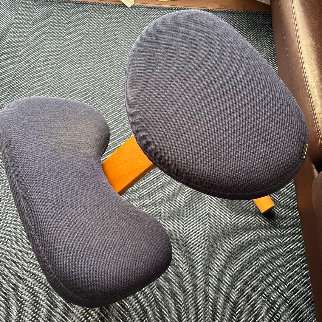 rybo社 リボ社 バランスチェア イージー