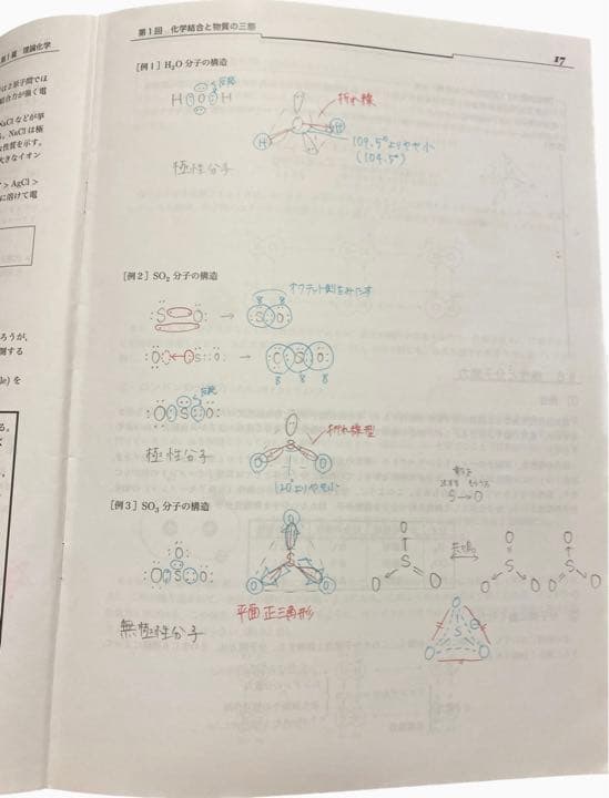 【非売品】鉄緑会 高３化学 授業冊子 寺田先生
