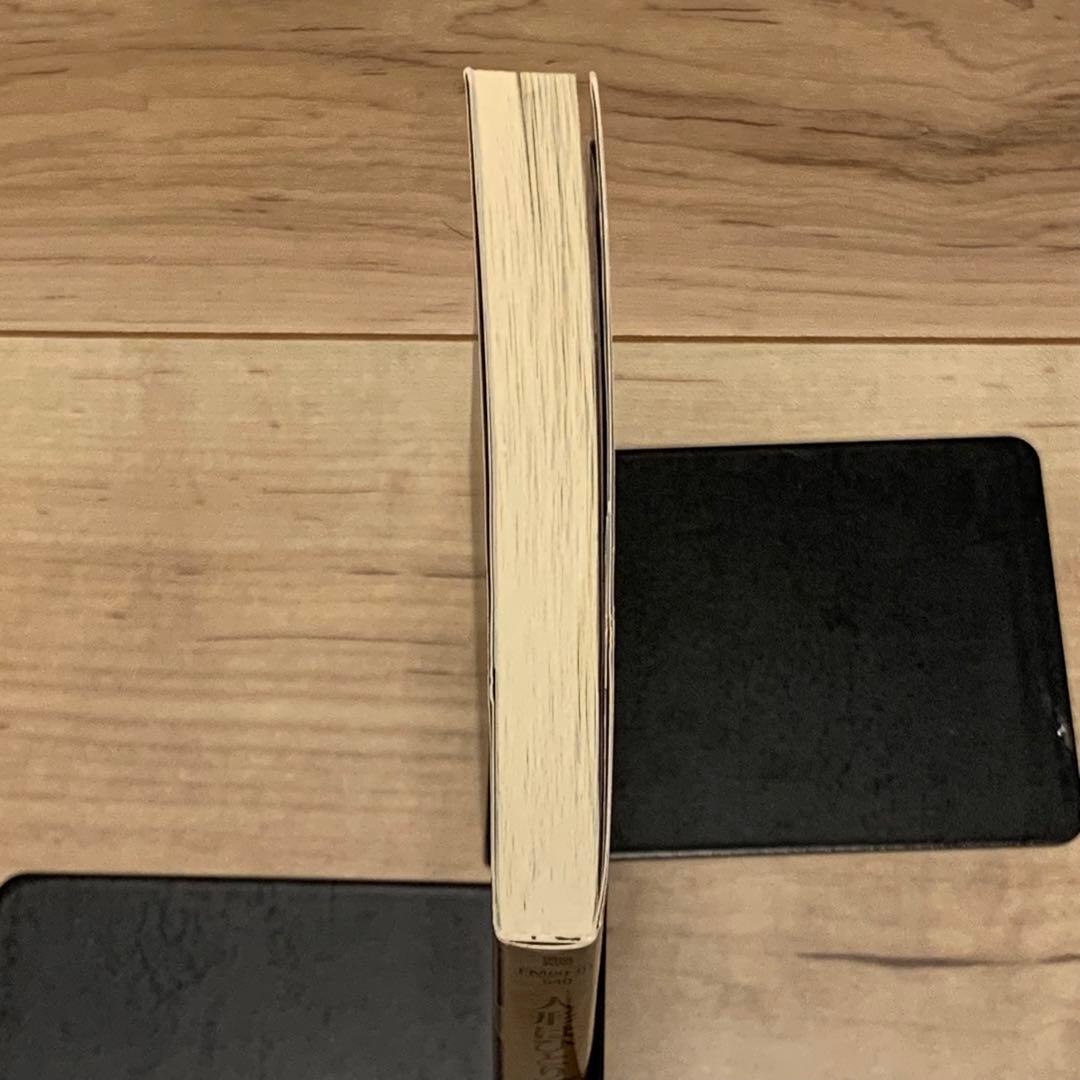 初版帯付 中島望 人形はひとりぼっち THE DOOL HUNTER 富士見