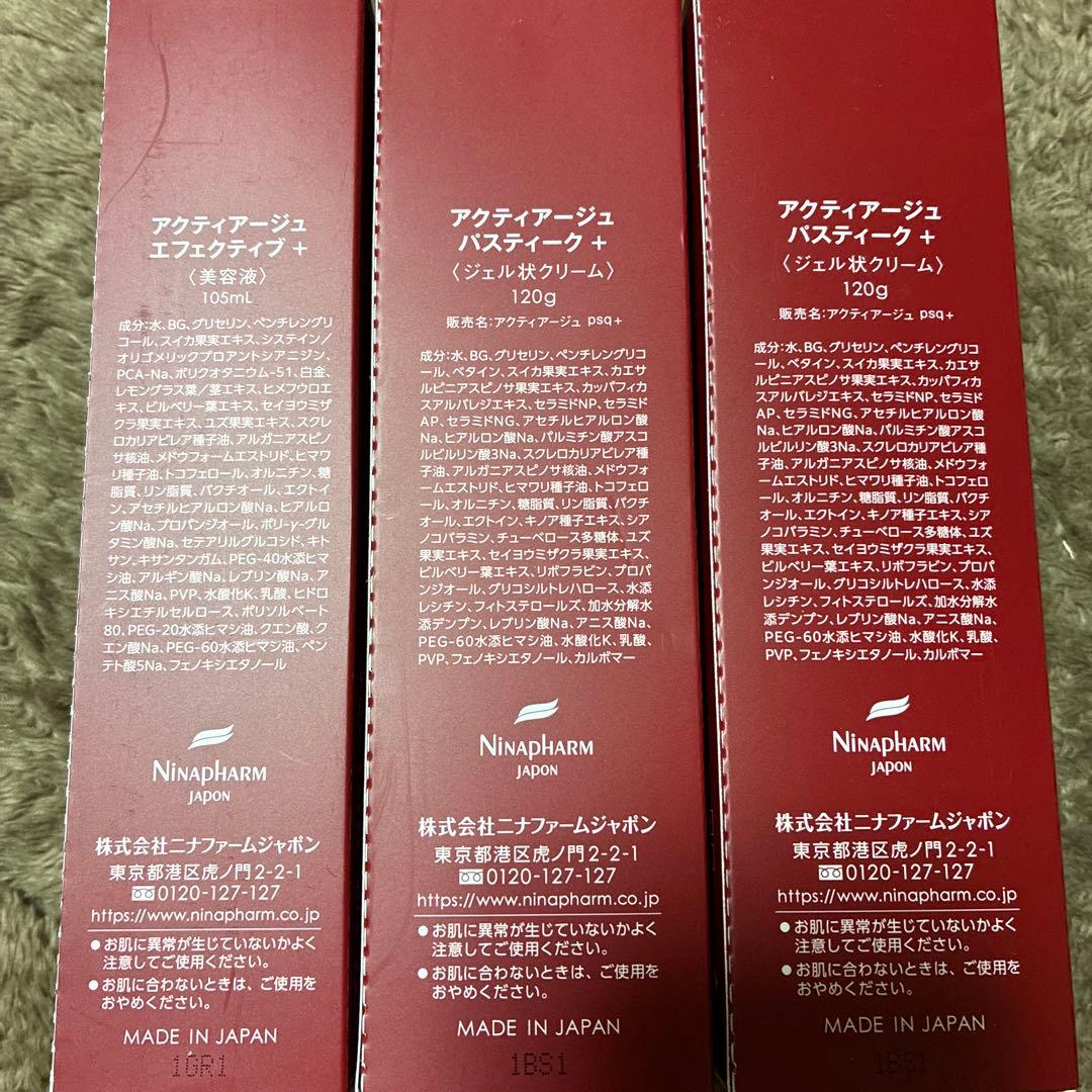 Ninapharm アクティージ パステーク + エフェクティブ +