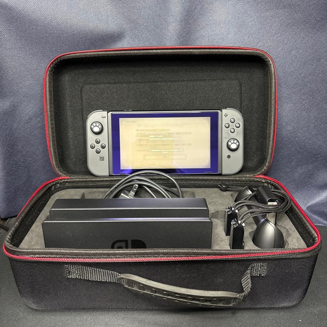 Nintendo Switch 本体 グレー（2019年購入）